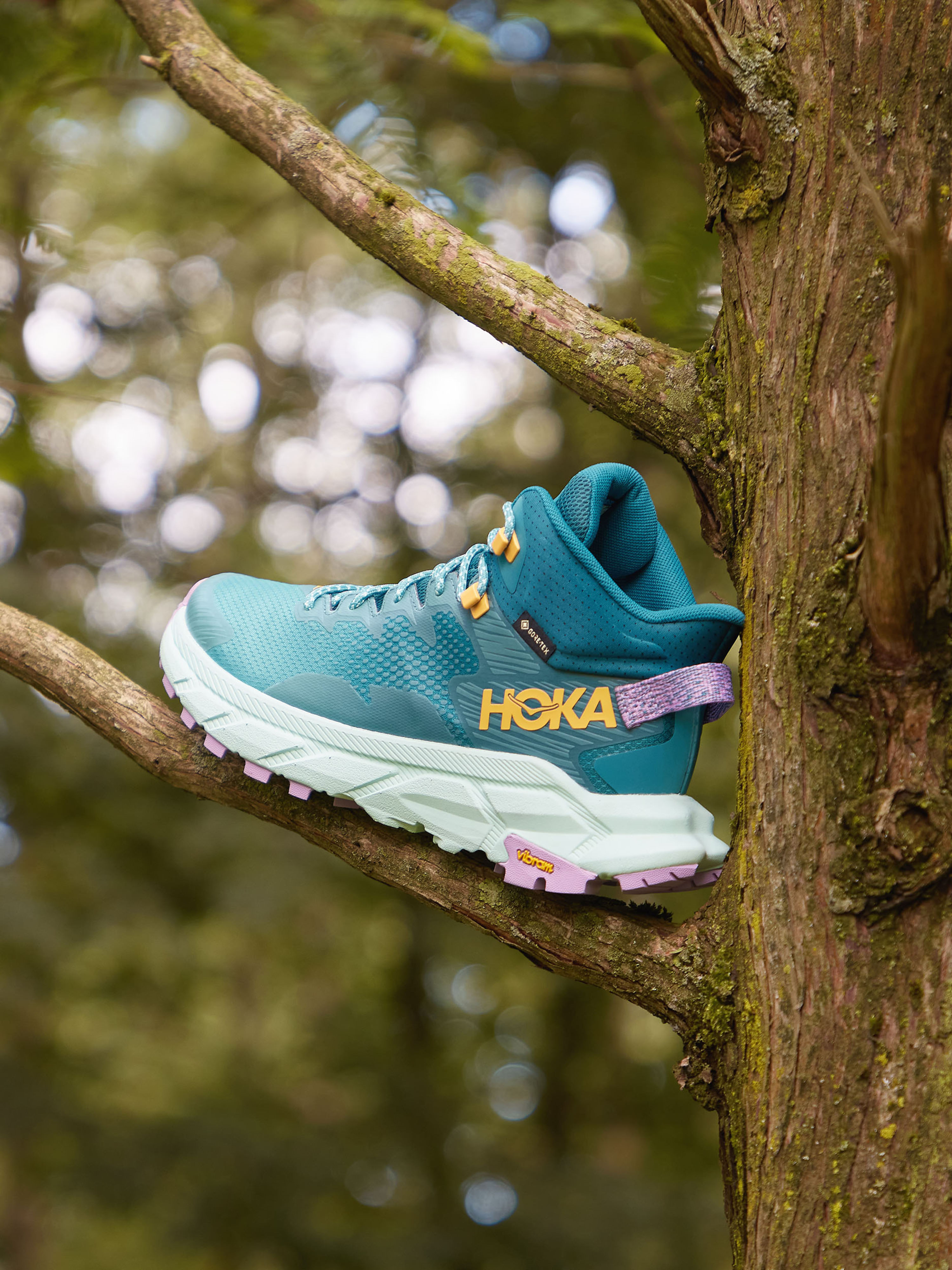 Sneaker high