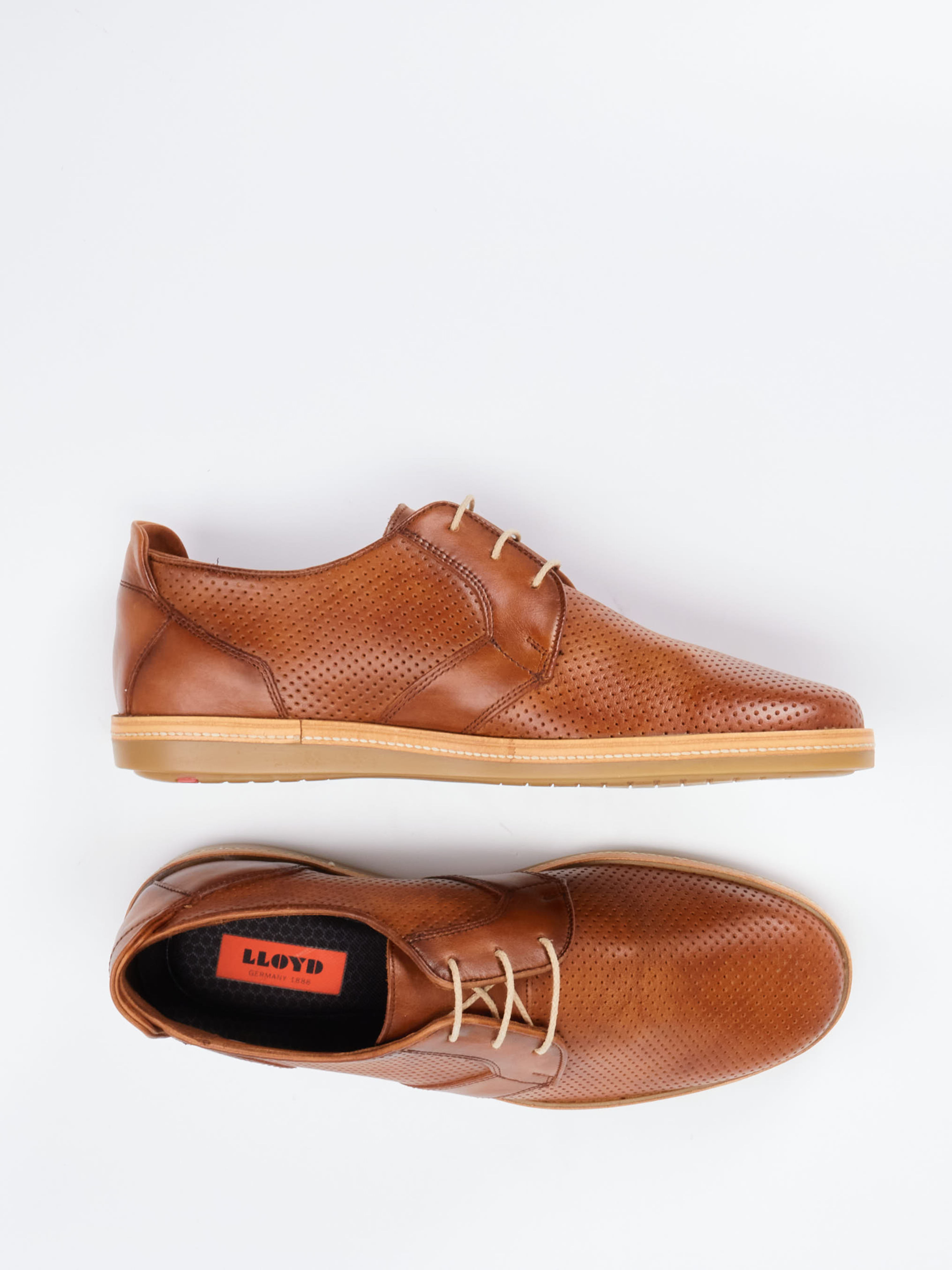 Schnürschuh FINCH braun 4610289024204