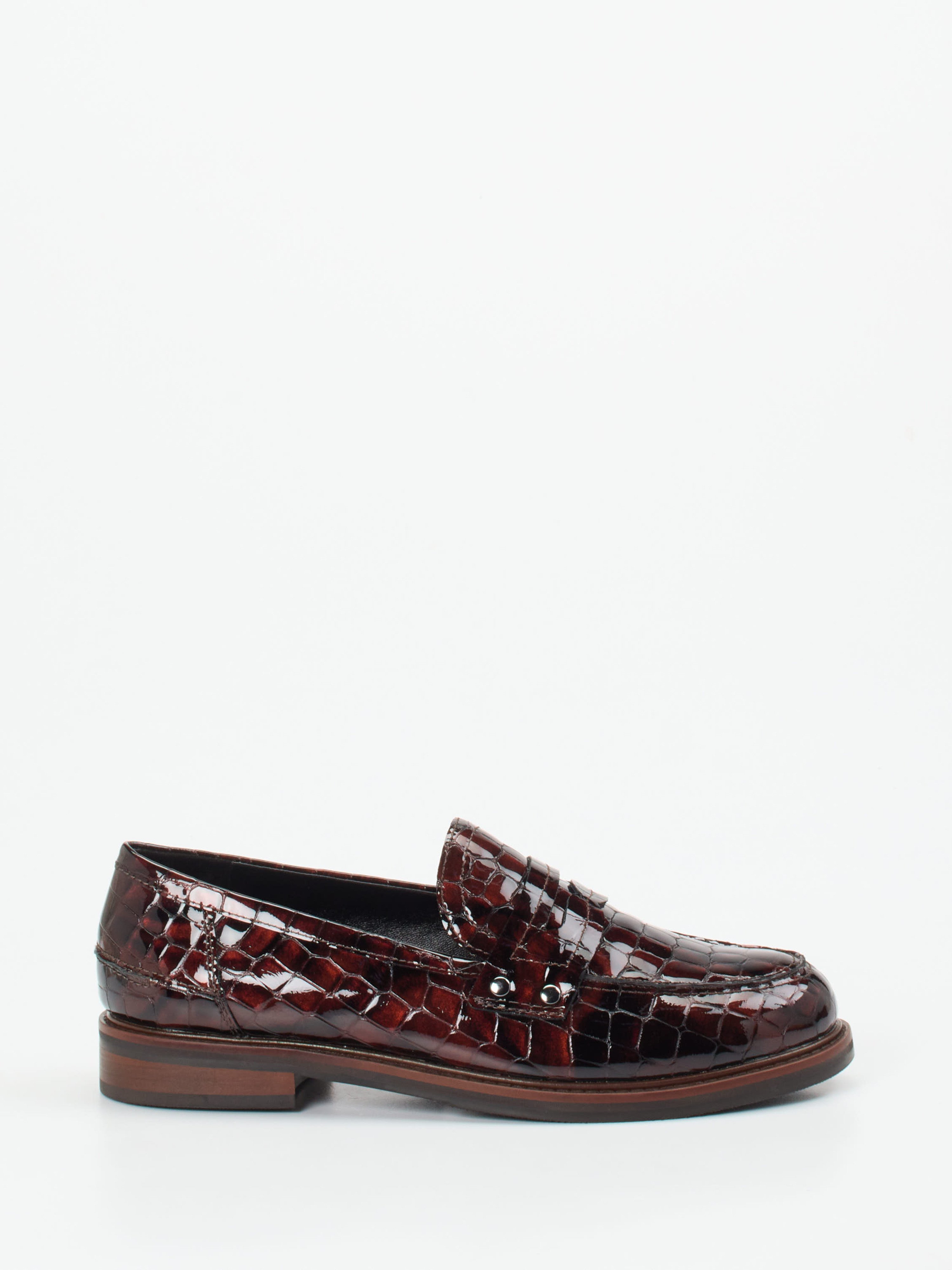 Slipper rot 1513509000901