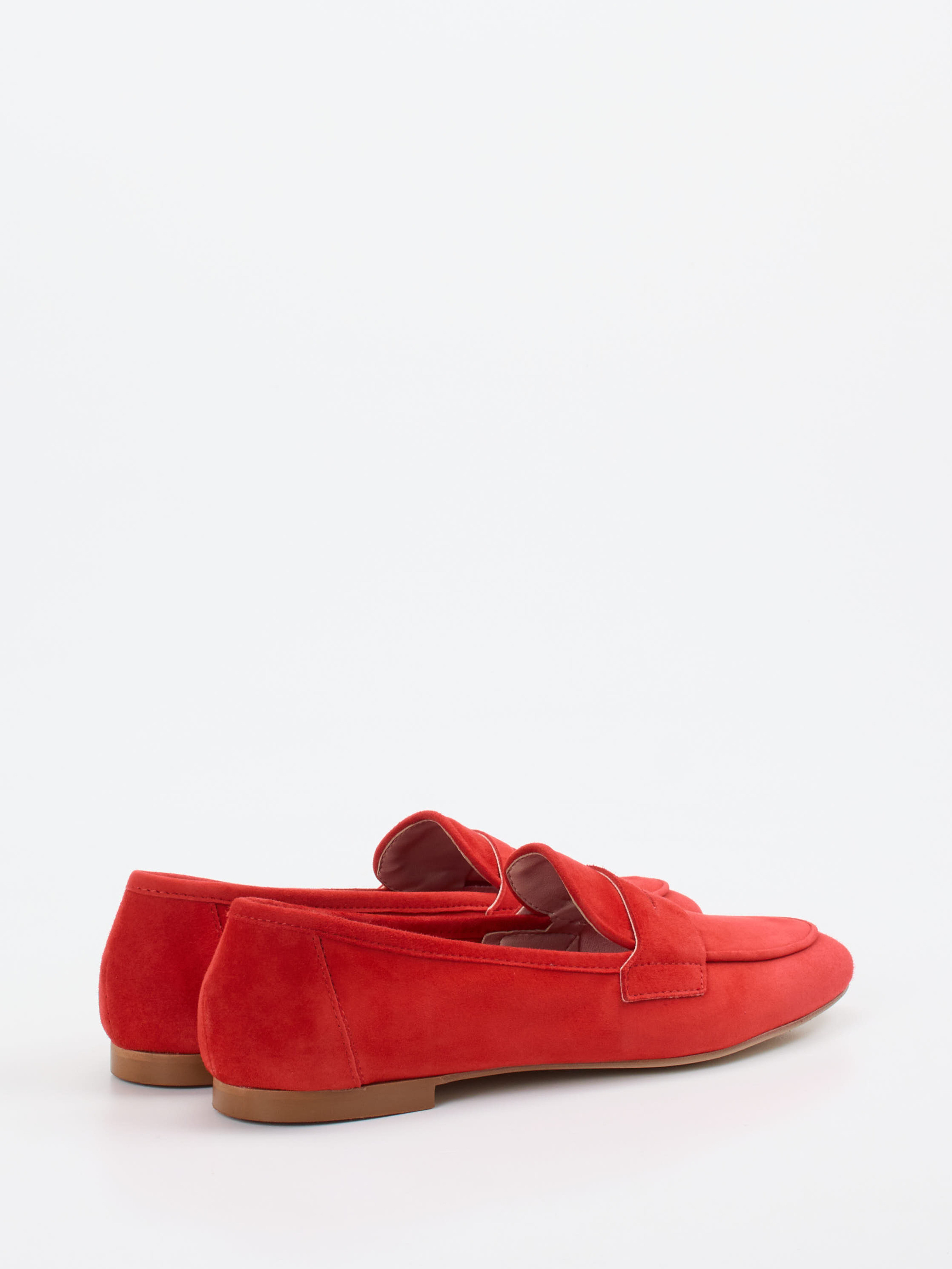 Slipper rot 1511559003003