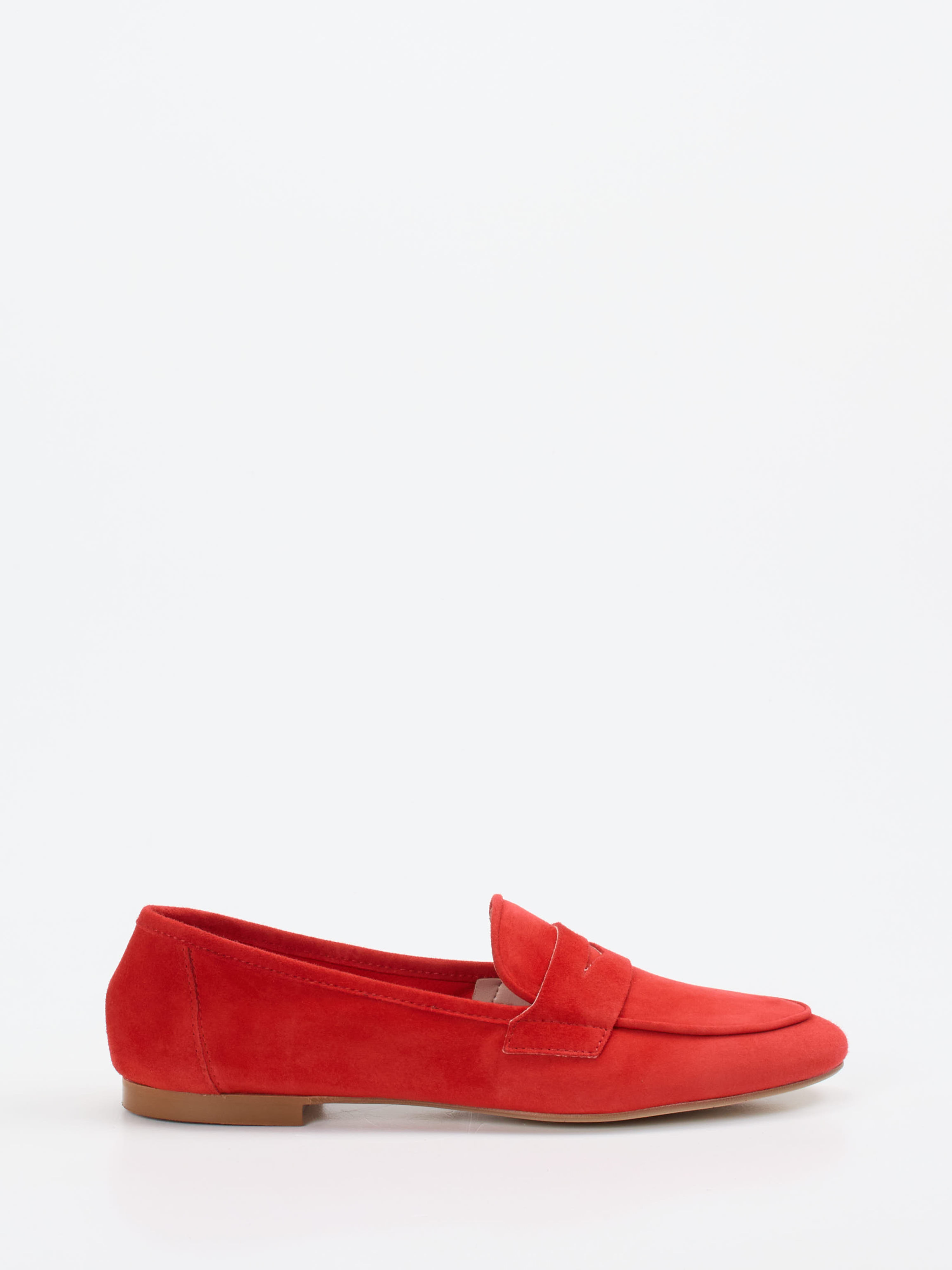 Slipper rot 1511559003001