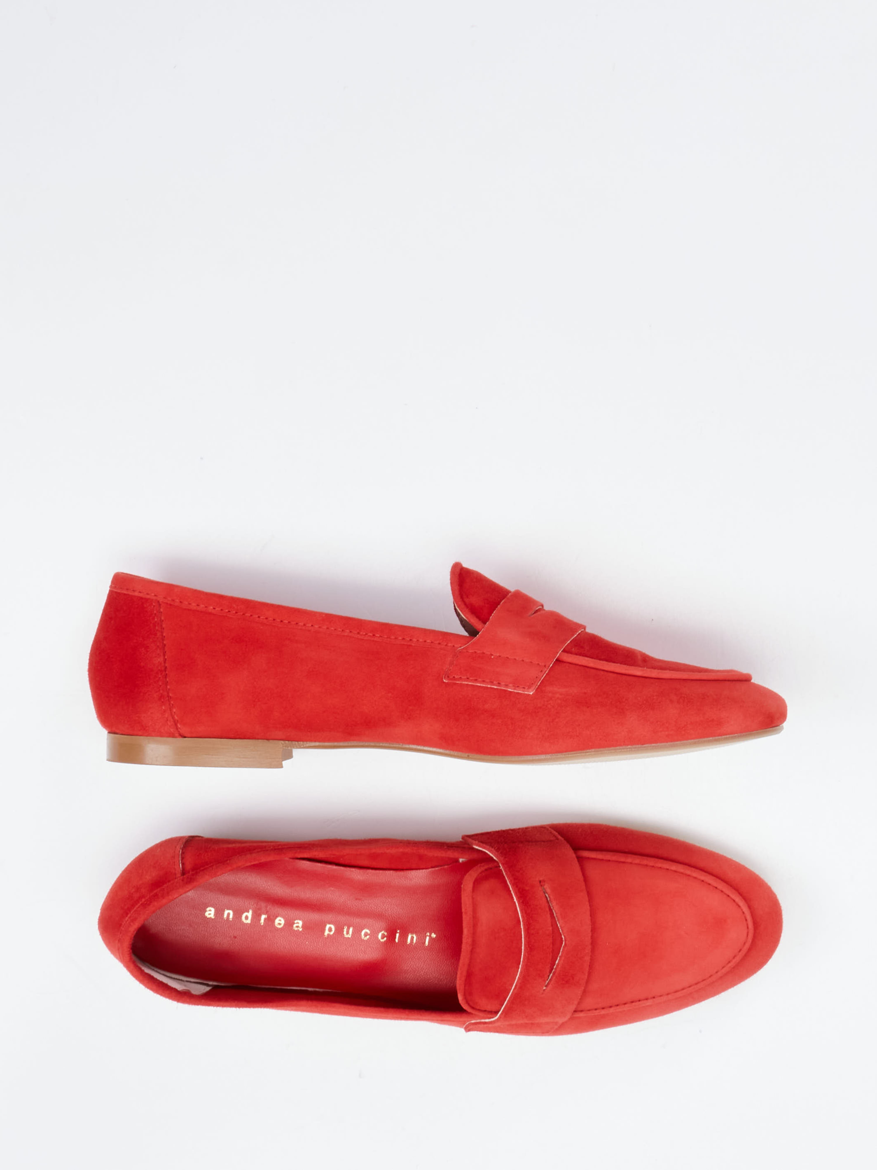 Slipper rot 1511559003004