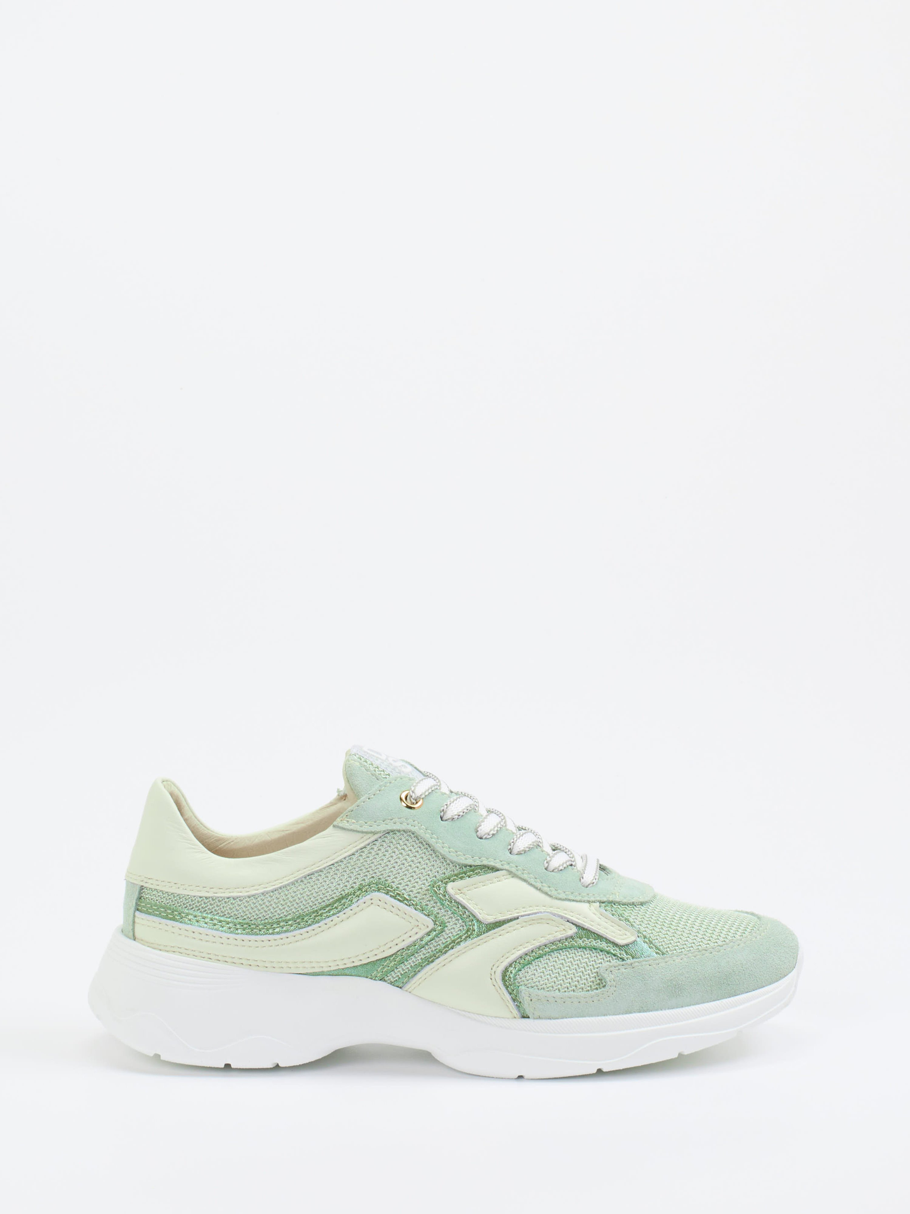 Sneaker grün 2661693000101