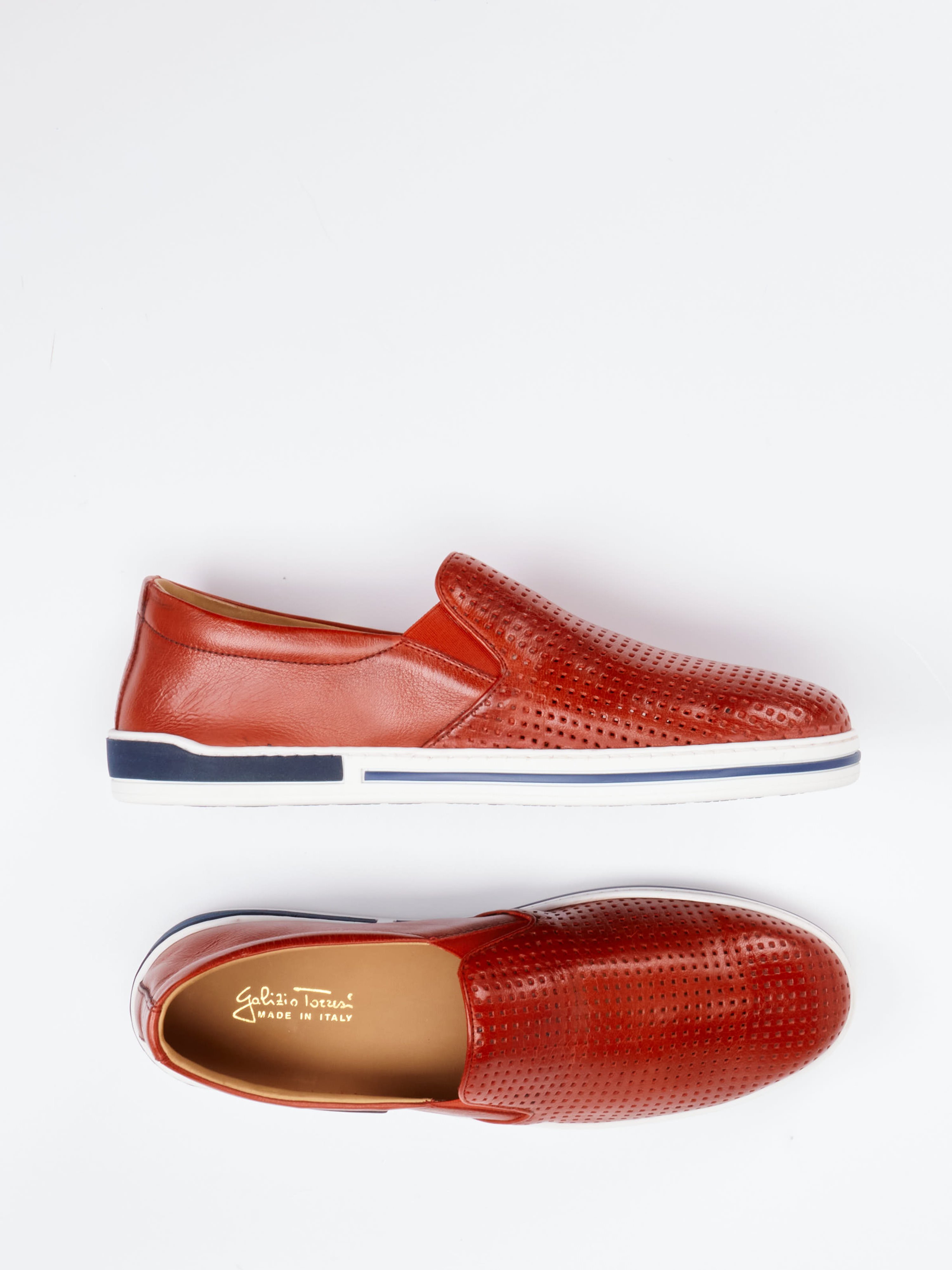Slipper rot 4510559000904