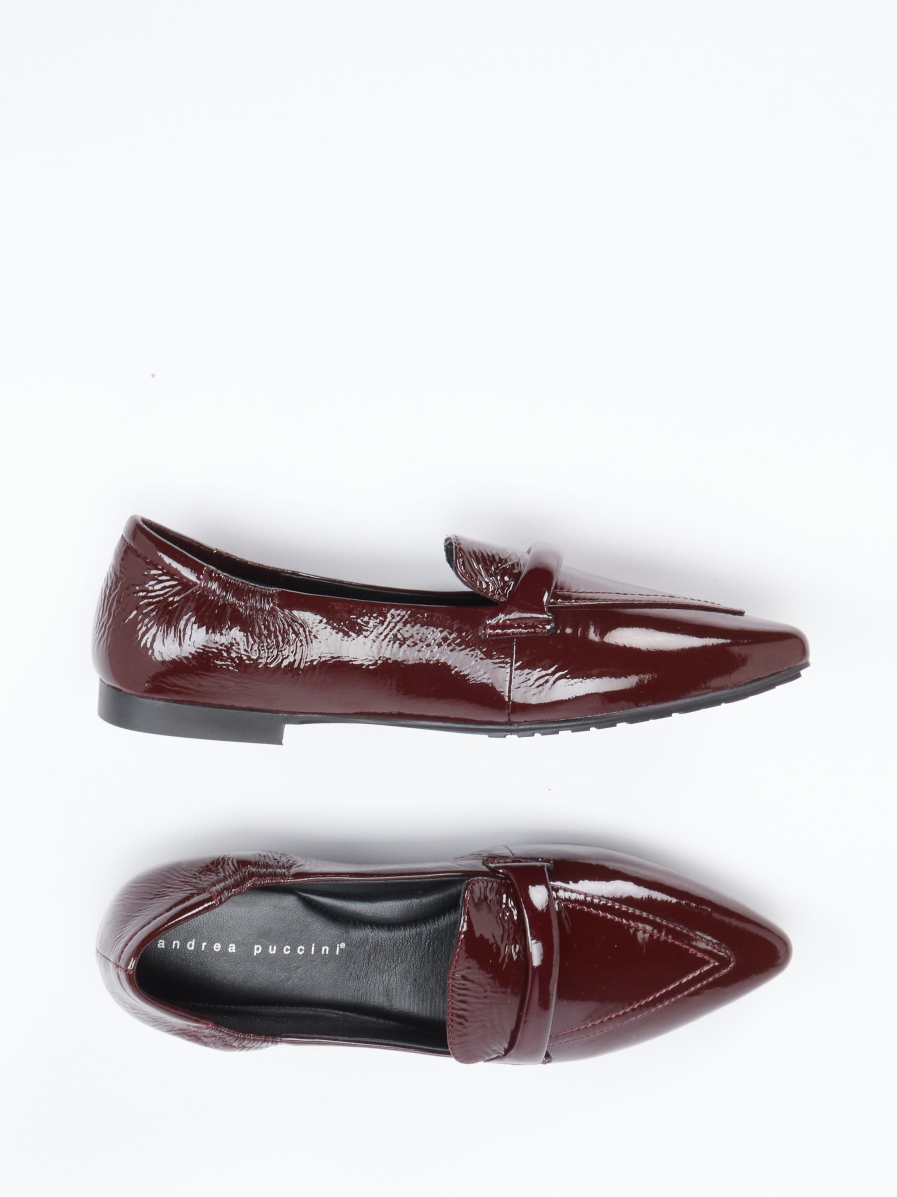Slipper rot 1511509003604