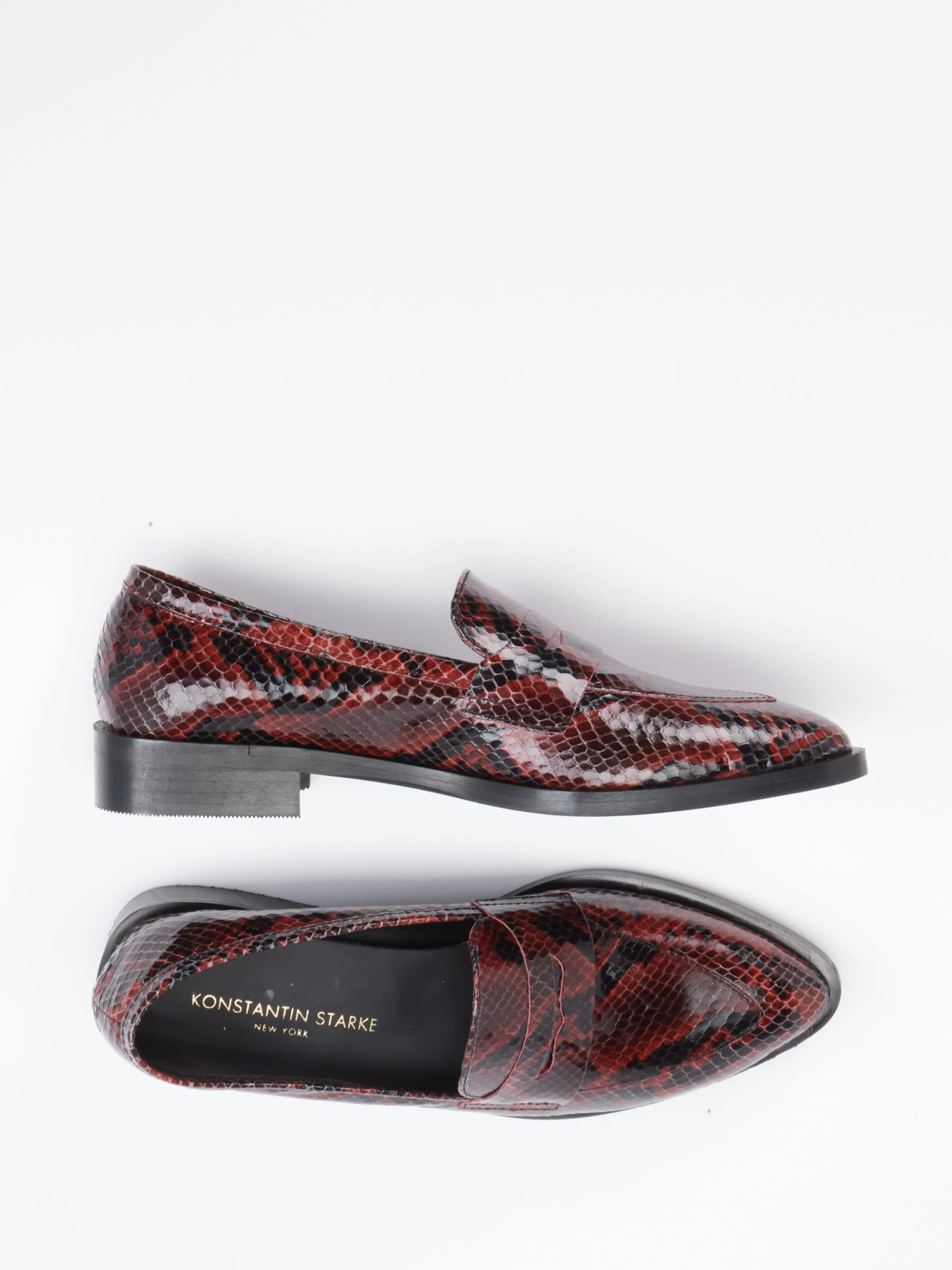 Slipper rot 1511500000504