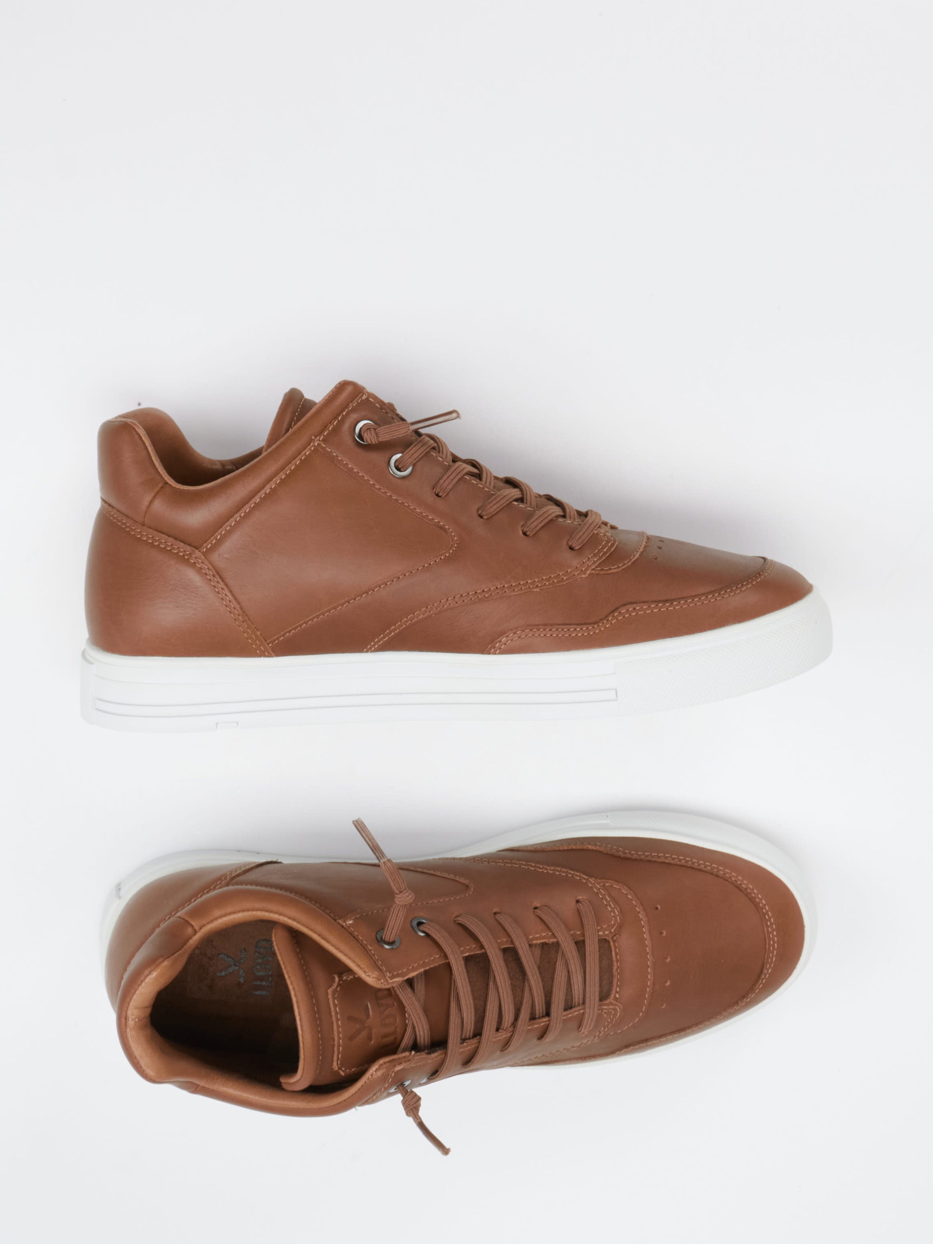 Sneaker ARENA braun 4761289002404