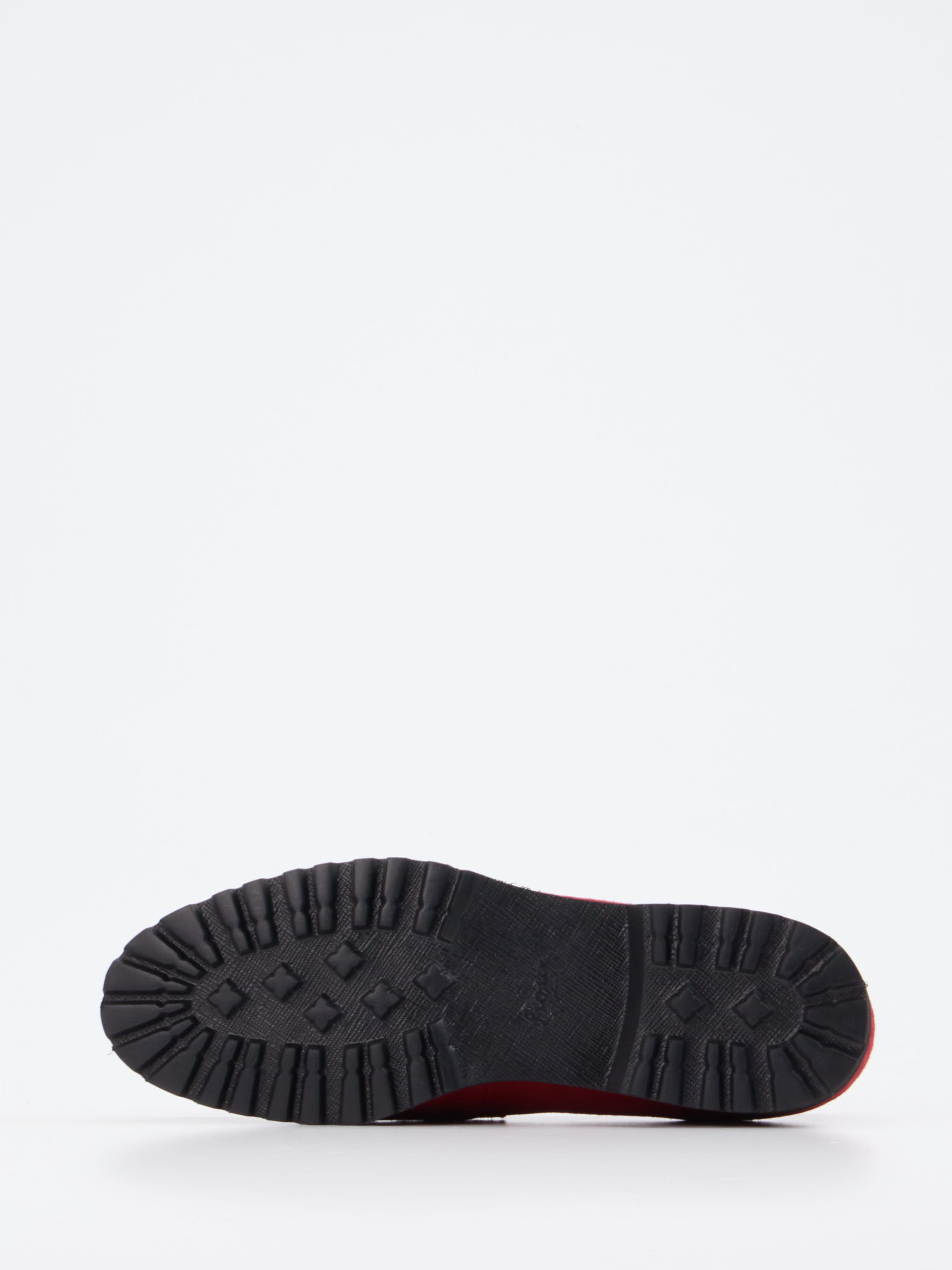 Slipper rot 2551559000505