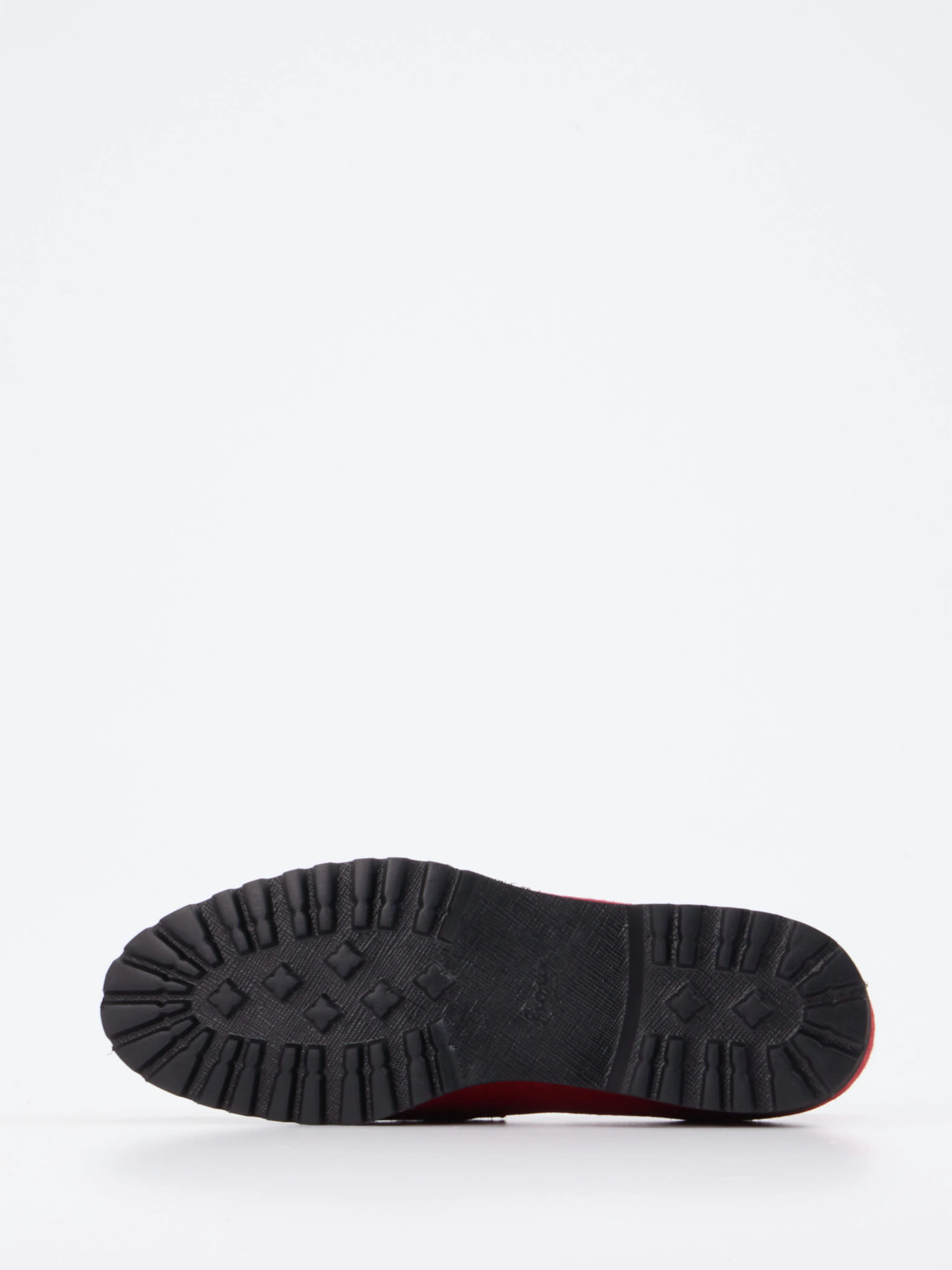Slipper rot 2551559000505
