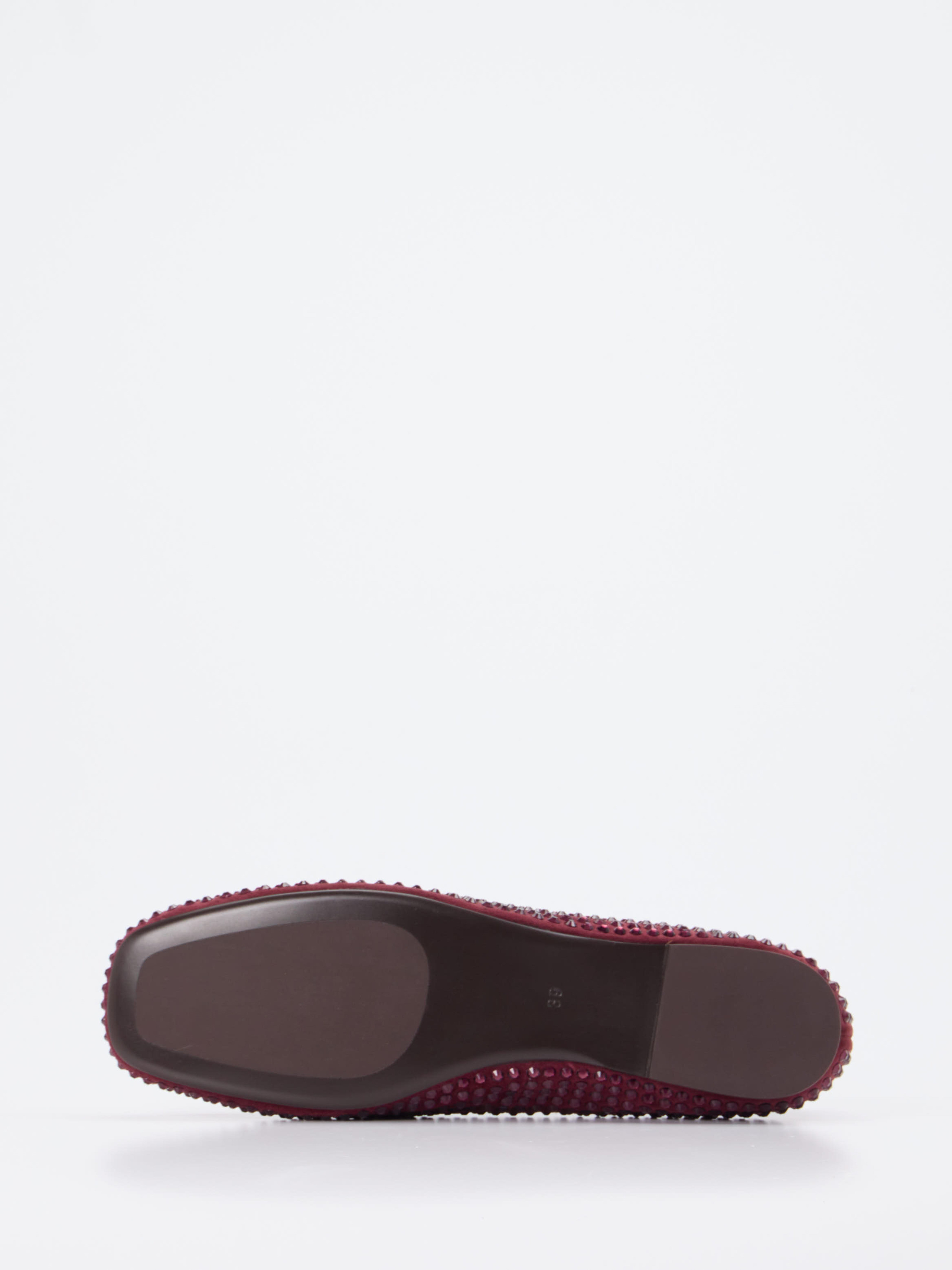 Slipper rot 1511509004505