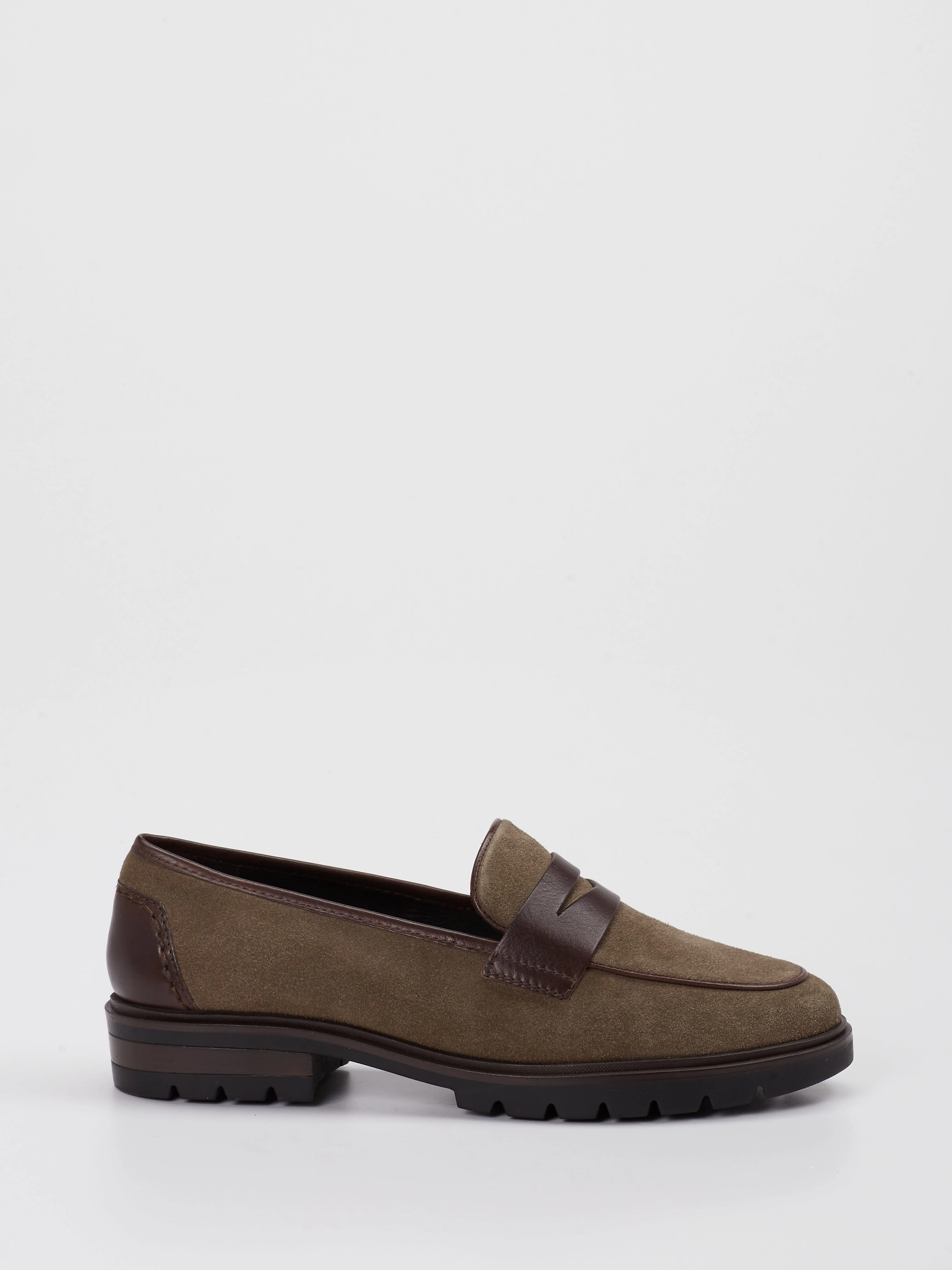 Trotteur braun 2501242000101