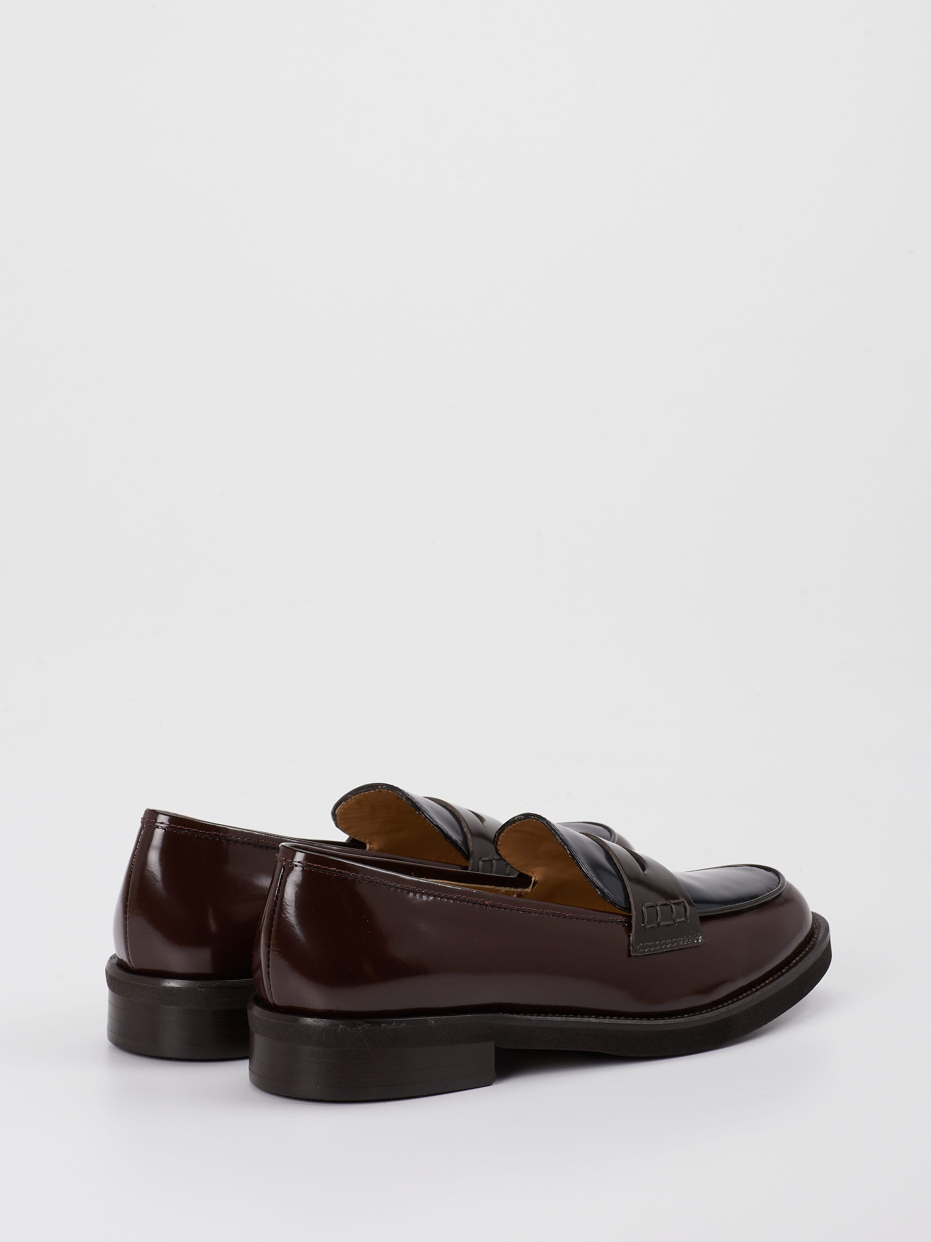 Slipper rot 1513501000103