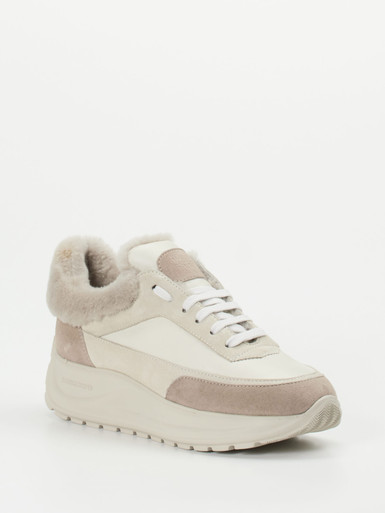 Sneaker high
