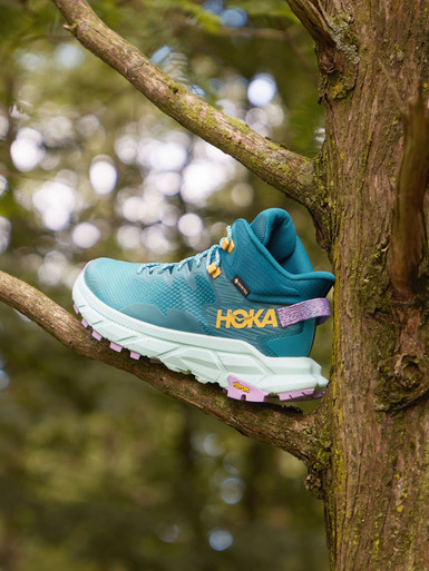 Sneaker high