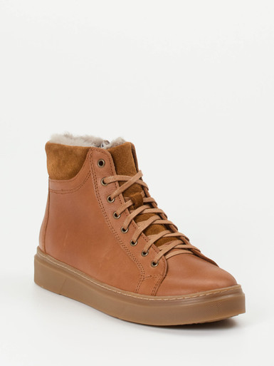 Sneaker high