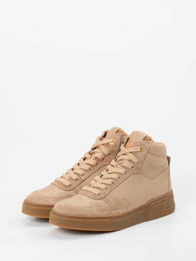 Sneaker High