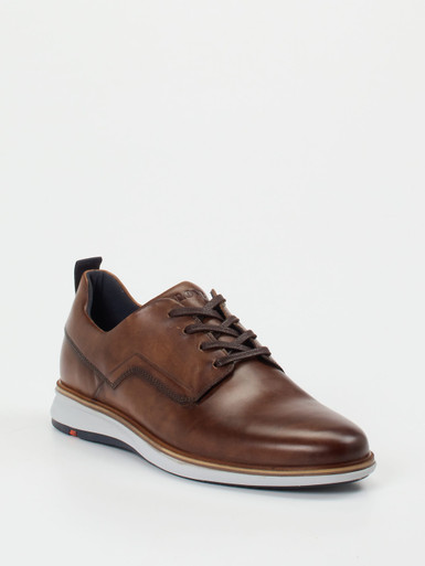 Buy Lloyd Men DALTONMen in Dark Brown | Zumnorde