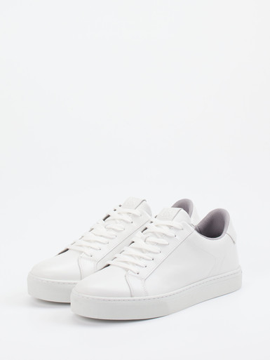 Sneaker Agar