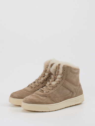 Stiefelette TEDROSO