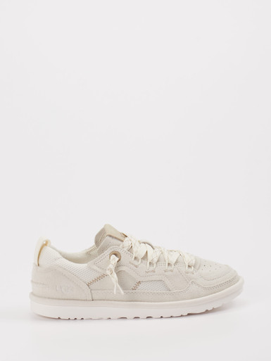 Sneaker Minimel