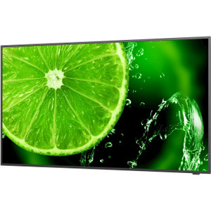 NEC MultiSync E498 49 Display UHD