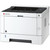 L Kyocera ECOSYS P2040dw Laserdrucker 40S./min. USB Wifi Duplex *EU