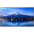 Sharp MultiSync P656 Digital Signage Display 165 cm 65 Zoll
