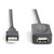 DIGITUS Repeaterkabel USB 2.0 Typ A male  female 20.00m