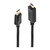 LINDY DisplayPort an HDMI Kabel 4K30 (DP: passiv) 0.5m