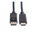 ROLINE DP KABEL.DP-HDTV.1M