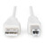 DIGITUS USB 2.0 Anschlusskabel Typ A -B St/St 1.8m, be