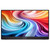 39,6cm/15,6" (1920x1080) Acer PM161QB1bmiuux 16:9 IPS 4ms 60Hz Mini-HDMI 2xUSB-C Audio Speaker VESA Black