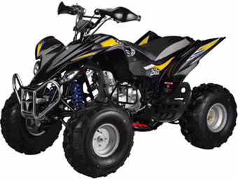 ATV 250B