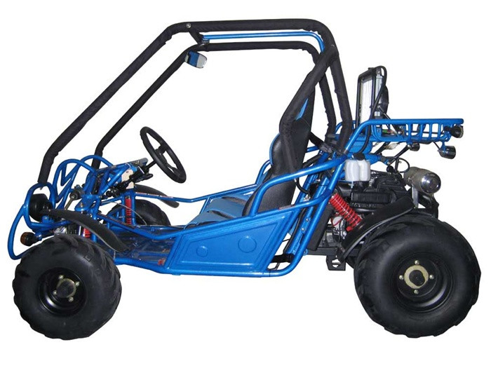 GO KART 250CC 250FS