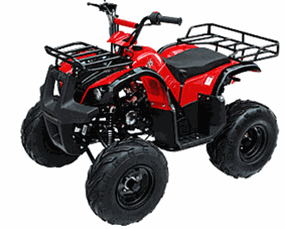 TAO MOTOR MID SIZE ATV 135D