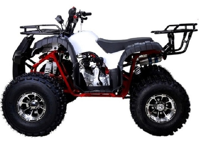 Buy TaoTao 125CC New TFORCE Mid Size ATV Air Cooled -TXPowersports.com
