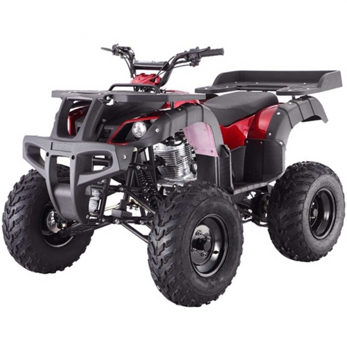 ASSEMBLED FULL SIZE TAOTAO ATA 250D Huge 23 inch tires ATV
