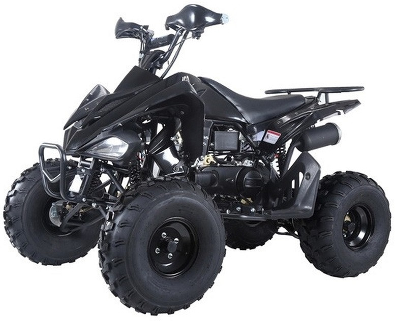 Taotao Motor 150G, 150CC, Air Cooled, 4-Stroke, 1-Cylinder, Automatic ATV