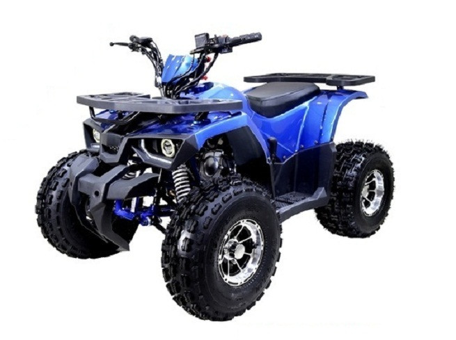 TaoTao Raptor 125cc,Air cooled, 4-stroke, 1-cylinder,automatic with reverse