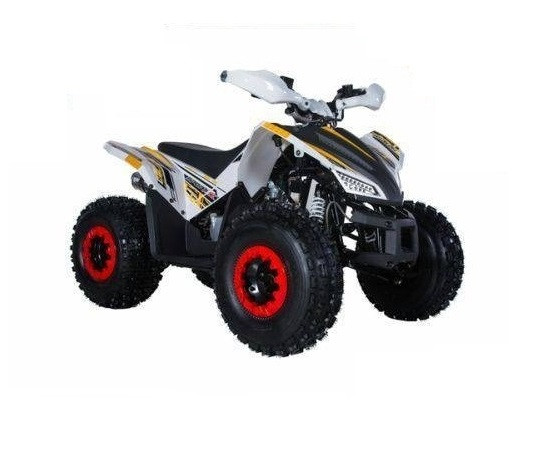 TAOTAO REX 120CC Electric Start ATV, Air Cooled, 4-Stroke, 1-Cylinder, Automatic With Reverse, Fully Assembled and Tested