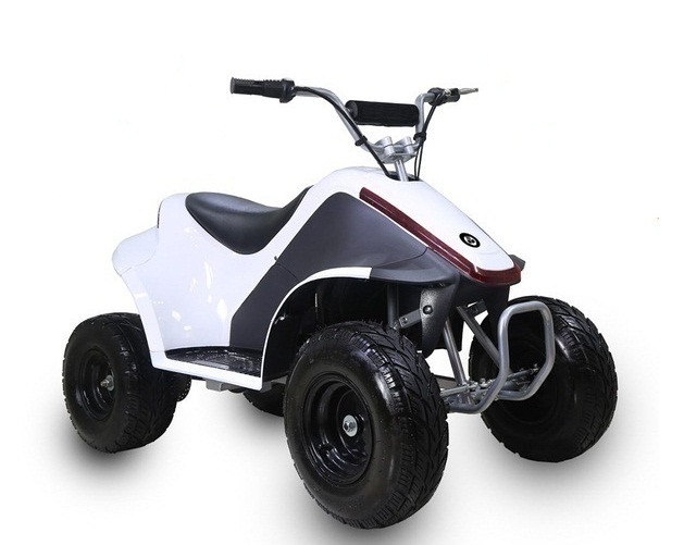 TaoTao ROVER500 500 Watt ATV, Brush Electric Motor Assembled and Tested