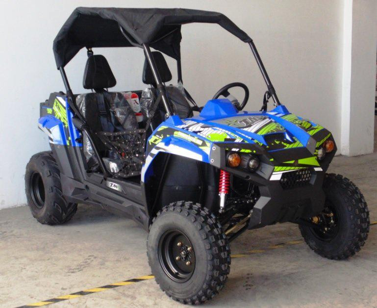 TrailMaster Challenger 300E UTV Side-by-Side, Liquid-Cooled Fully Automatic with Reverse Engine