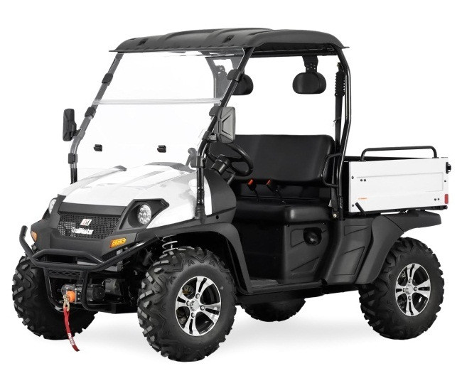 Trail Master Taurus 450U 4X4 UTV | 4-Stroke | TxPower Sports