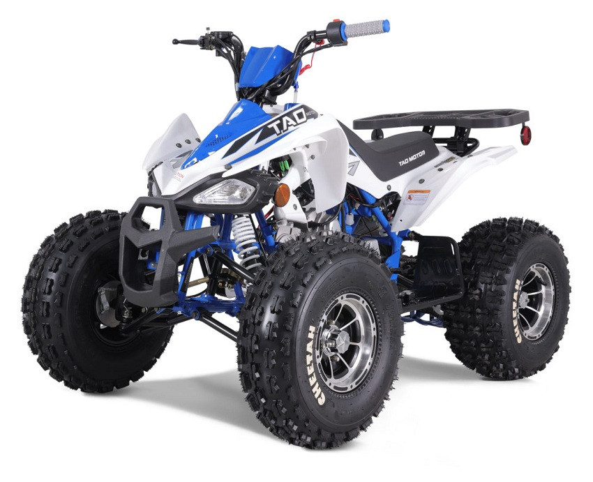 Shop TaoTao 120CC New Cheetah Platinum ATV | TX PowerSports