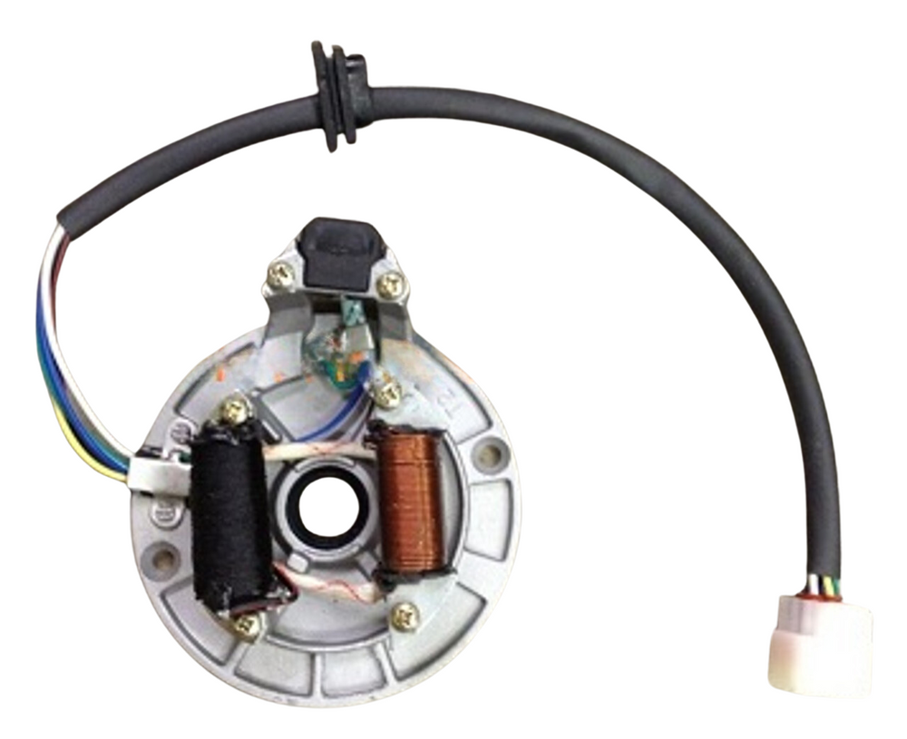 OEM Stator/Magneto for RPS viper 150
