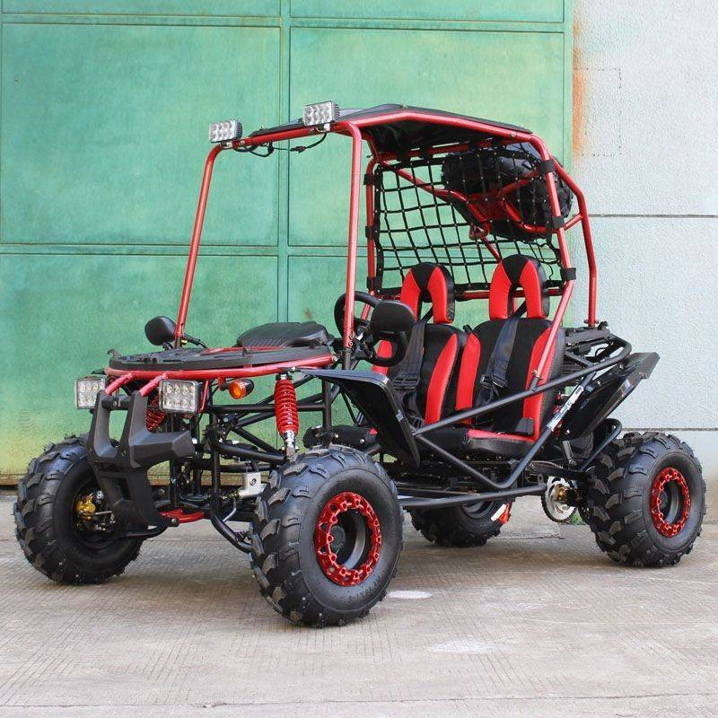 Dongfang 200cc (DF200GSX) GSX Go Kart, Full Size For Adult And Big Kids, Auto With Reverse, Spare Wheel