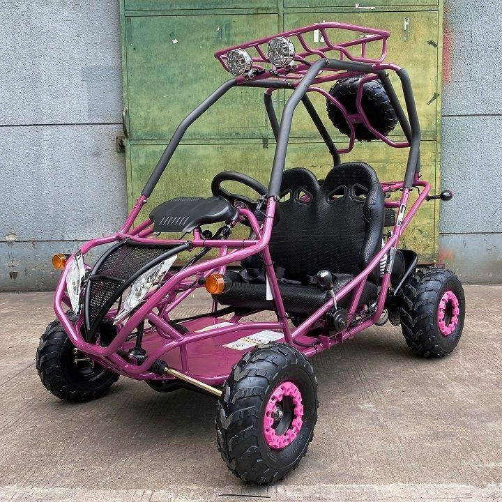 DongFang 200cc GVA-21 Go Kart For Sale | Txpowersports