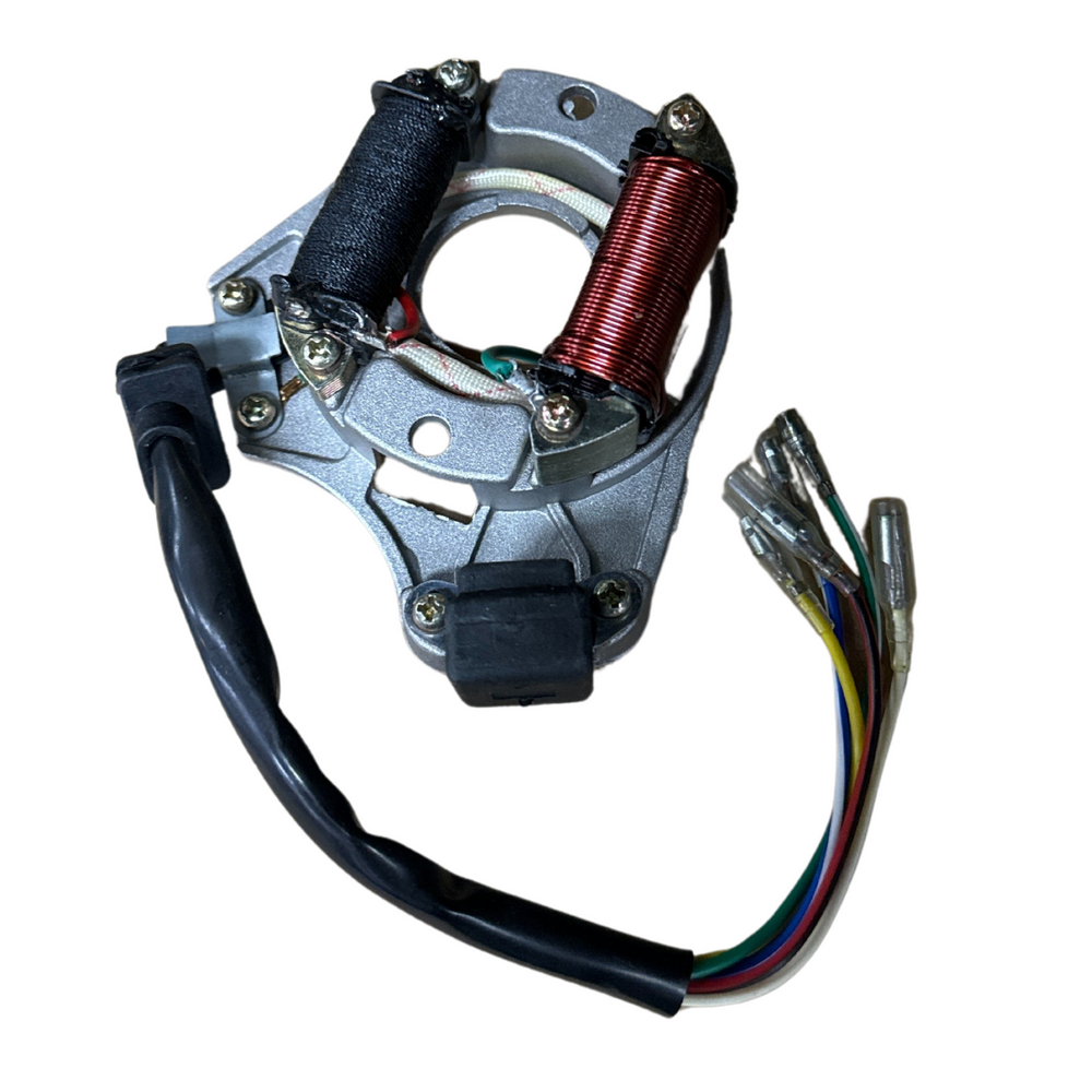 2 Coil Stator Ignition Magneto Plate for 49cc 50cc 70cc 90cc 110cc 125cc Chinese ATV Quad Go Cart Dirt Bike Taotao Sunl JCL