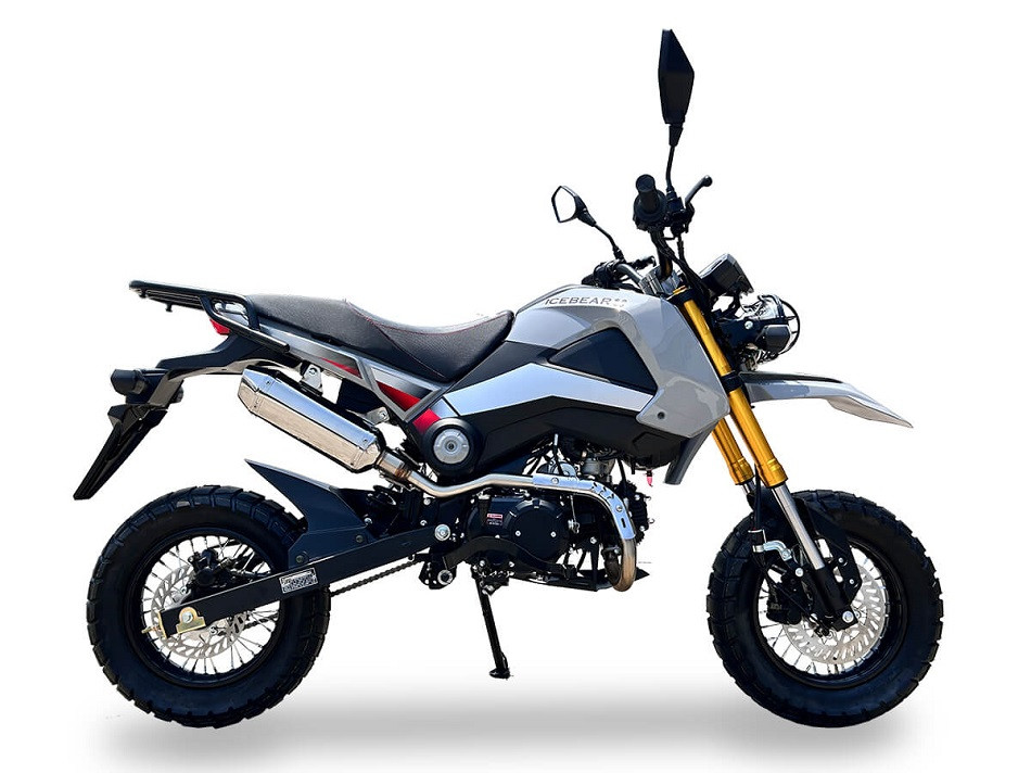 Shop Ice Bear Rogue Adv (Pmz125-1En) 125CC | TX PowerSports