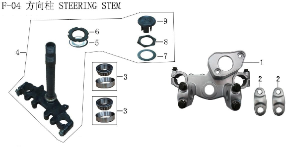 Lifan X-Pect 200 Steering Column Combination